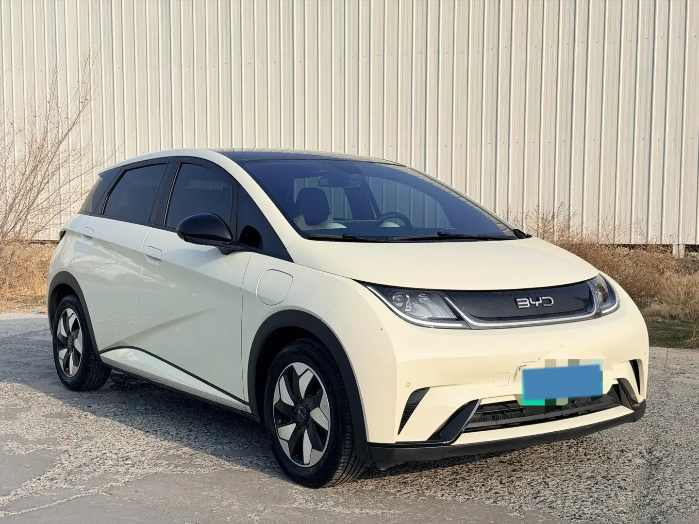 2024 BYD DOLPHIN thumbnail 3