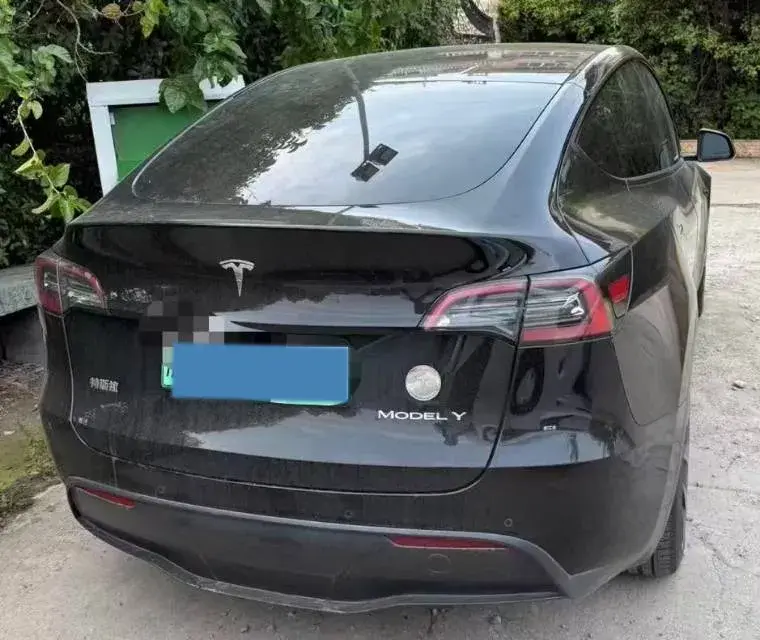 2021 TESLA MODEL thumbnail 3