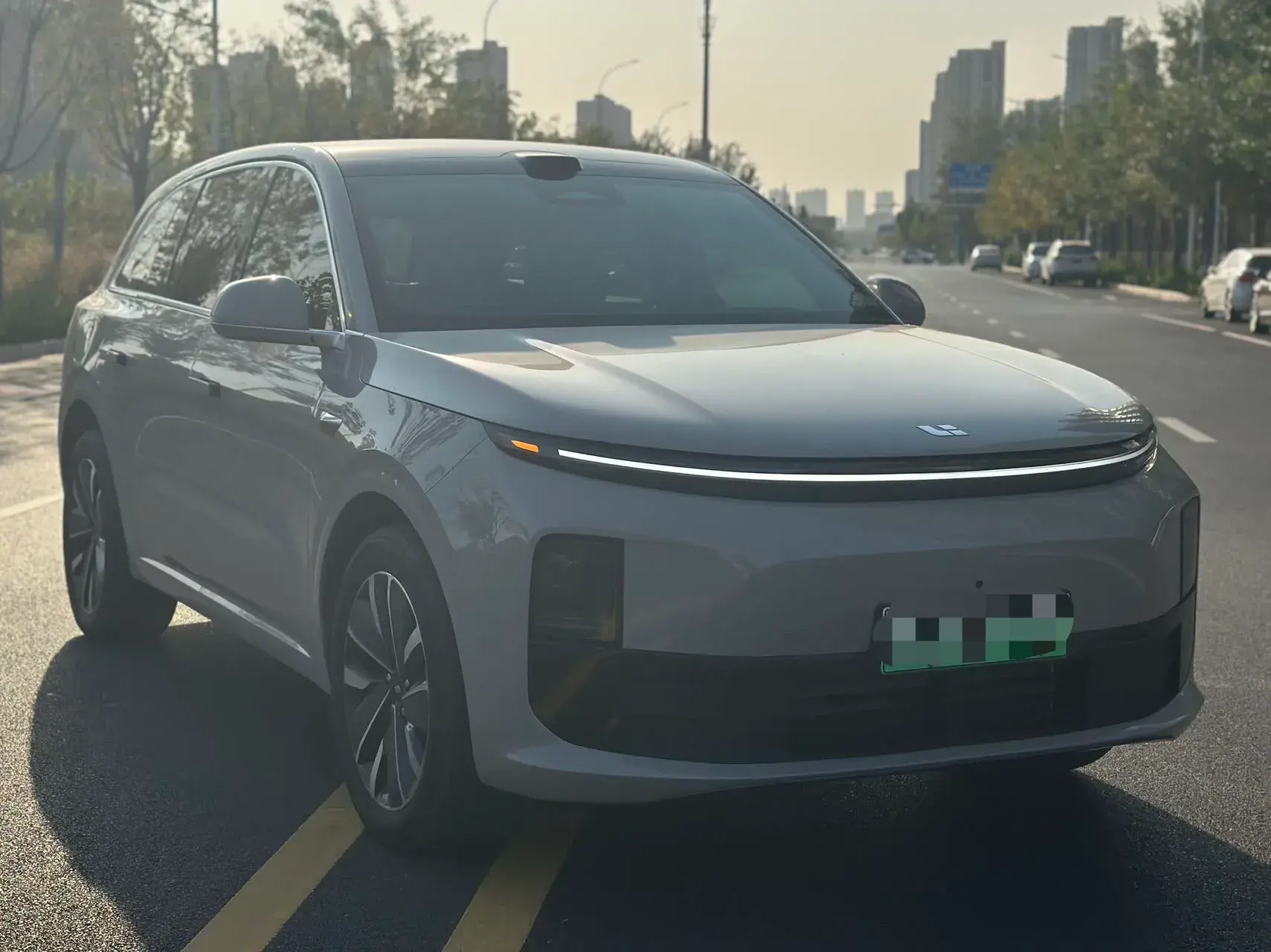 2025 LI L6 thumbnail 3