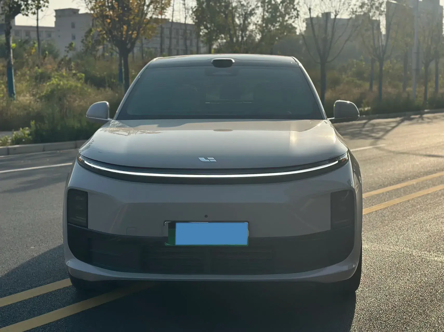 2025 LI L6 thumbnail 2