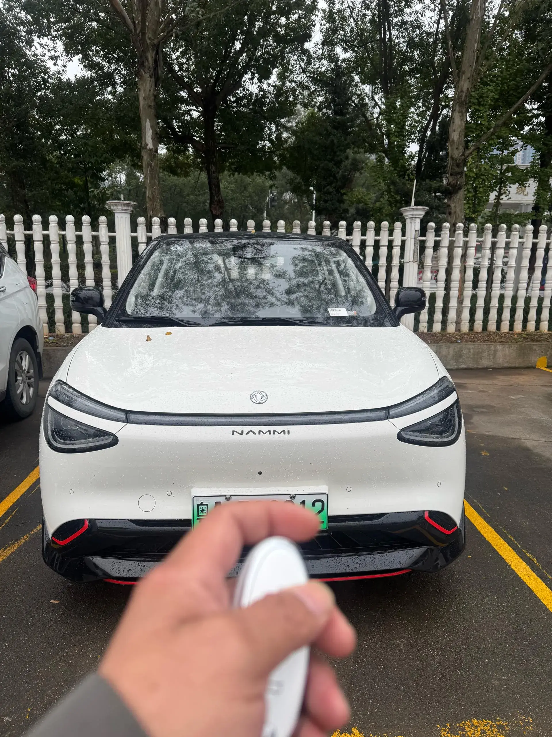 2024 DONGFENG NAMMI thumbnail 2