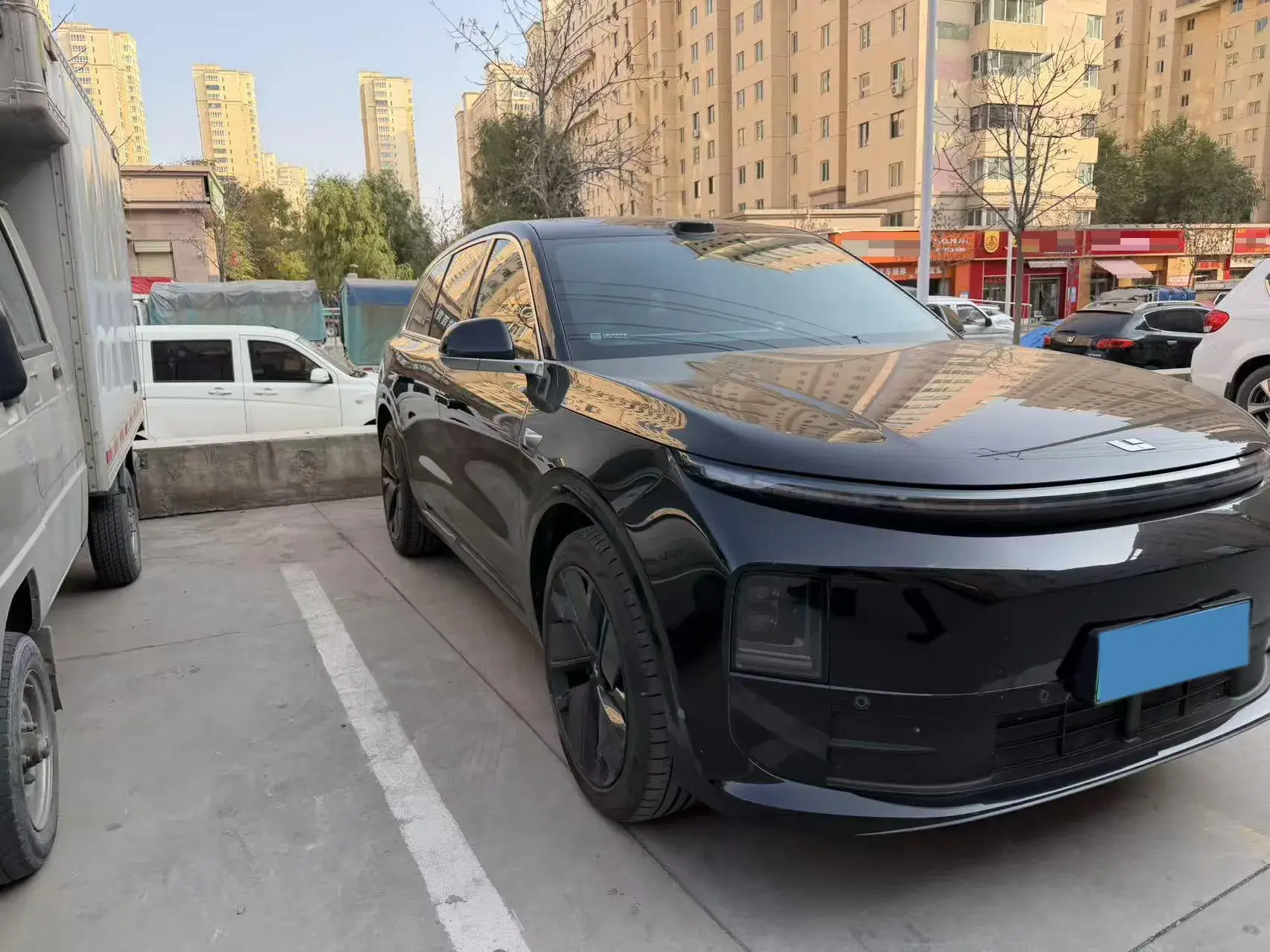 2025 LI L6 thumbnail 4