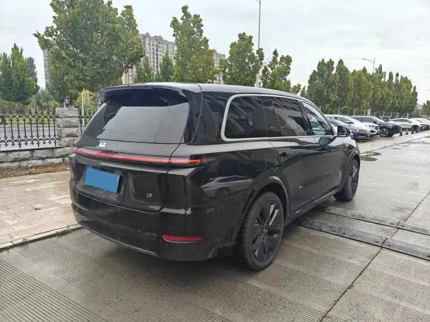 2022 LI L9 thumbnail 4