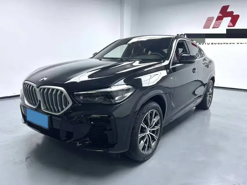 2022 BMW X6 view 1