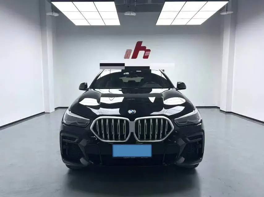 2022 BMW X6 thumbnail 2