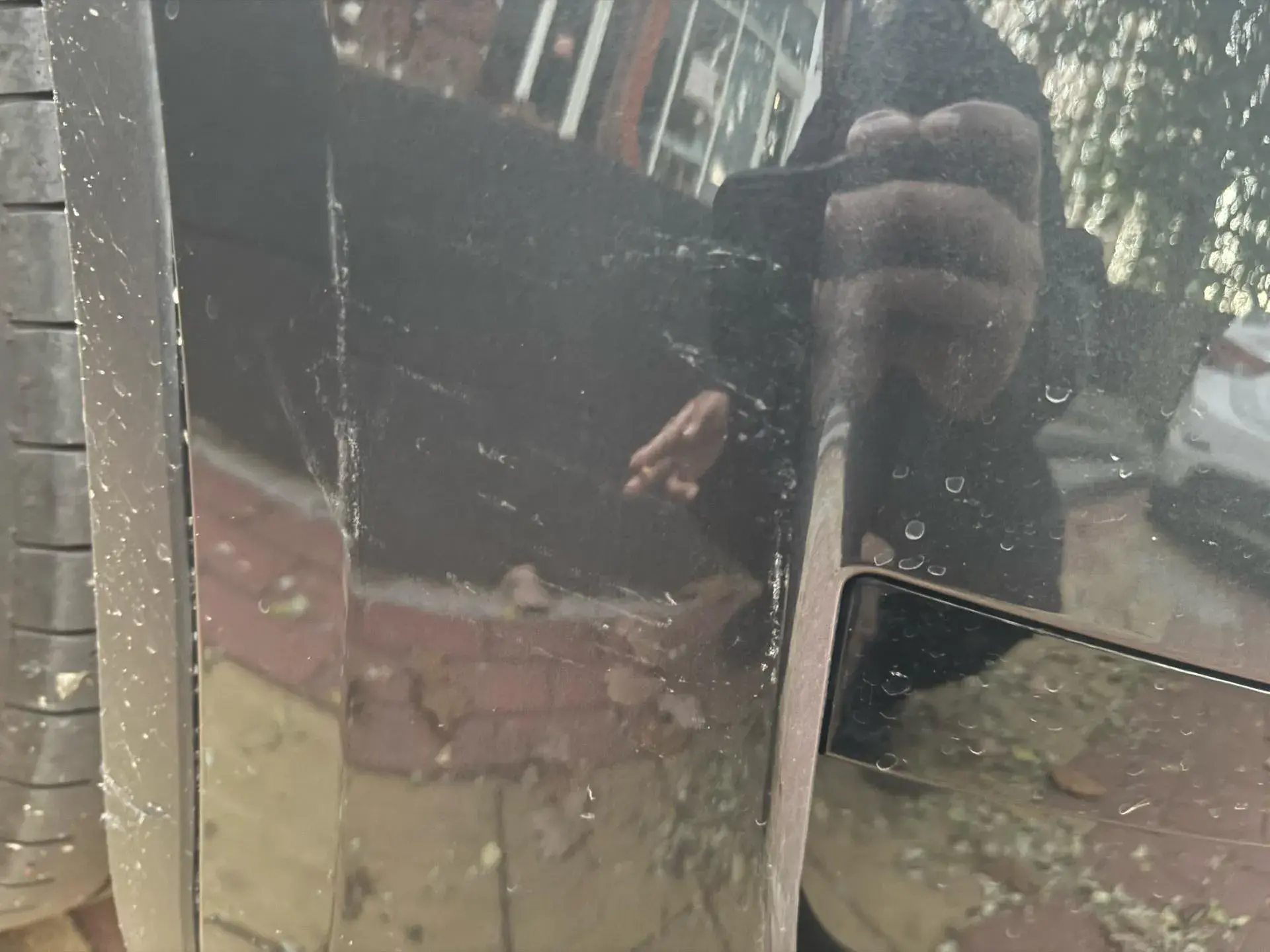 2024 TESLA MODEL thumbnail 3