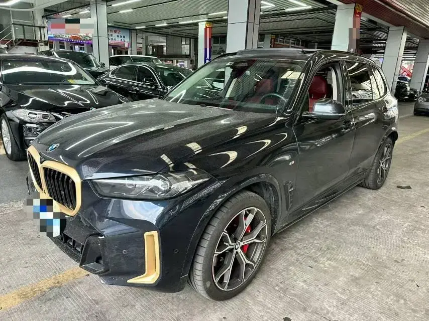 2023 BMW X5 view 1