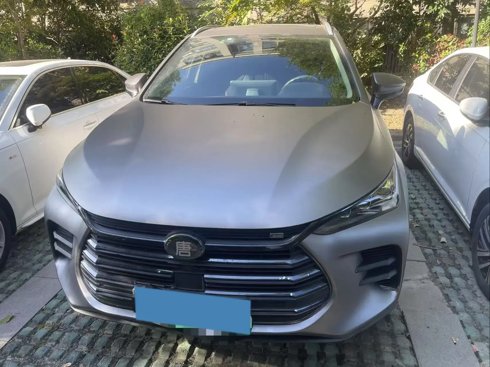 2018 BYD TANG thumbnail 2