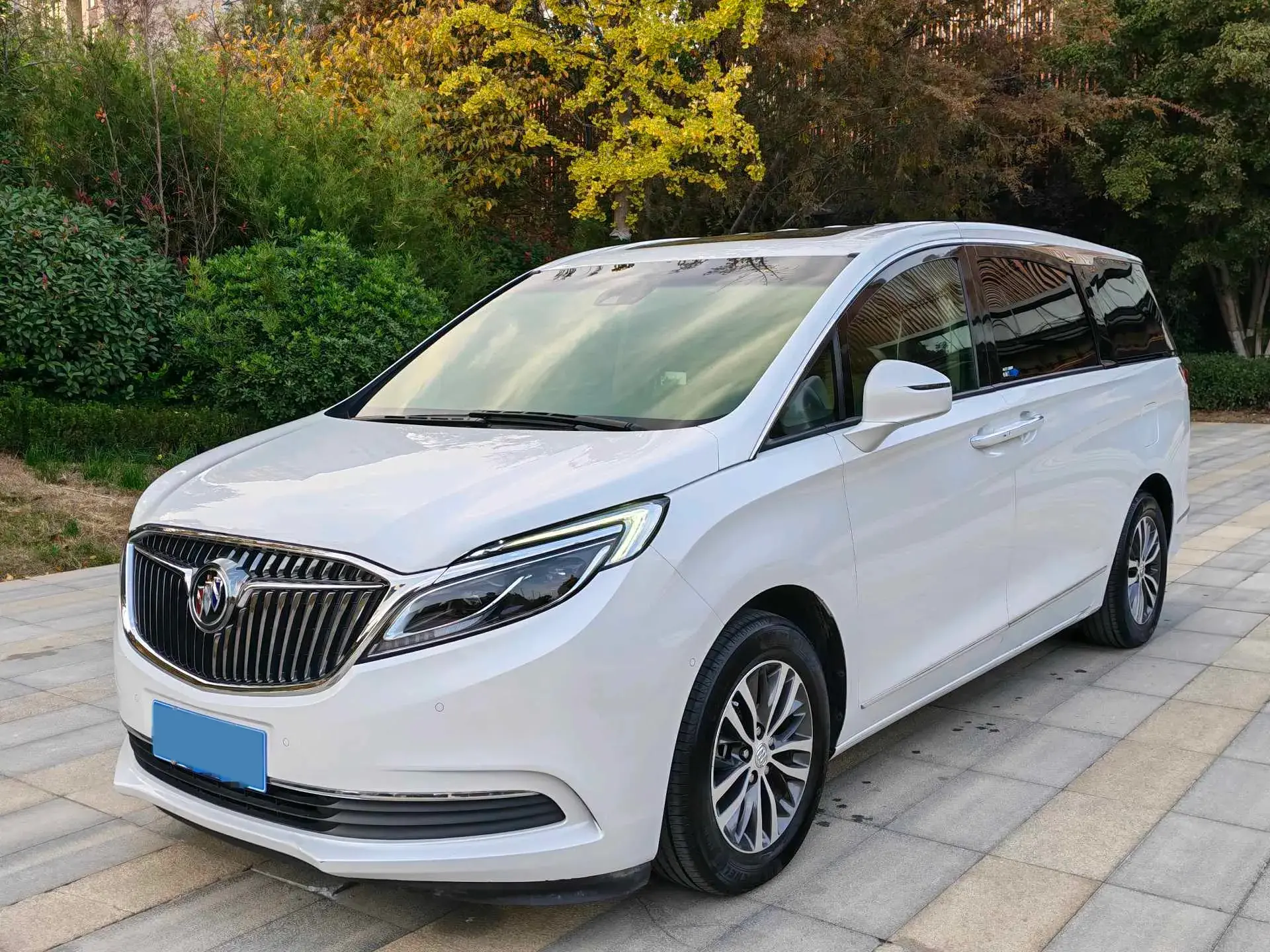 2018 BUICK GL8 view 1