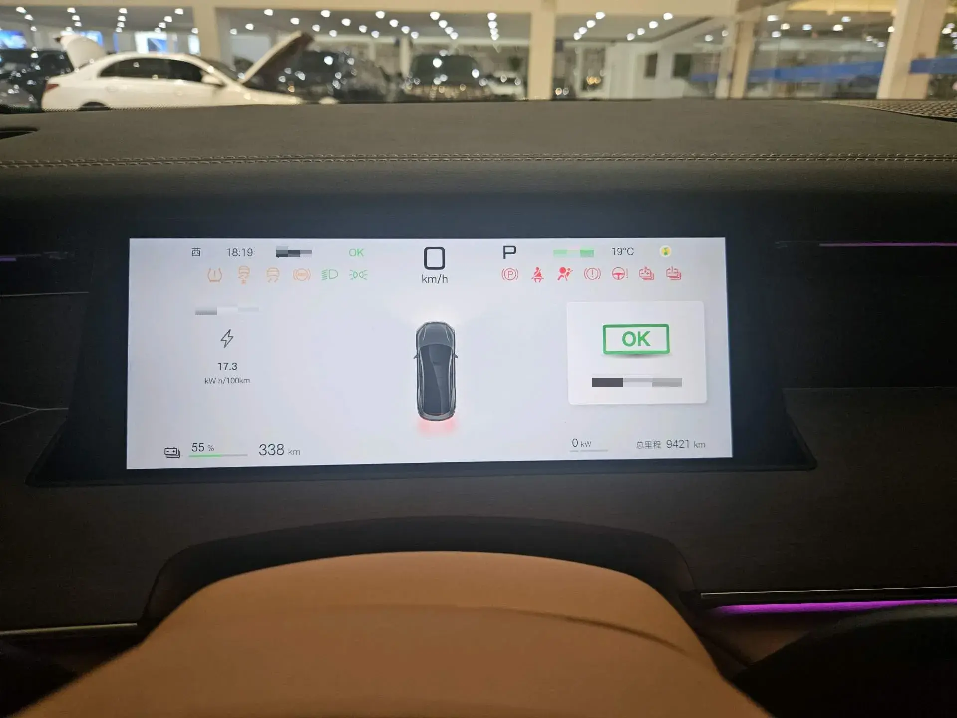 2025 BYD HANL thumbnail 4