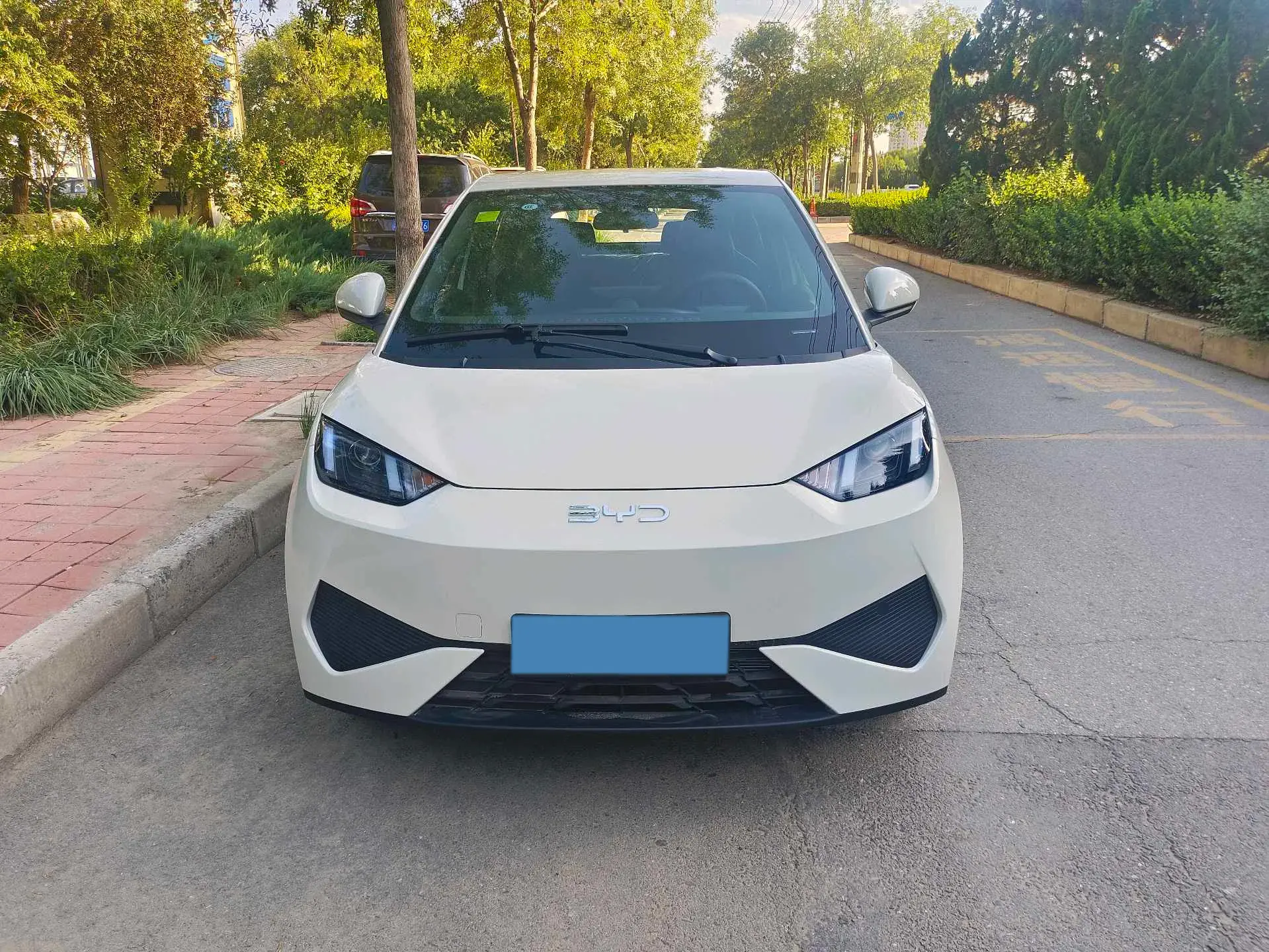 2025 BYD SEAGULL thumbnail 2