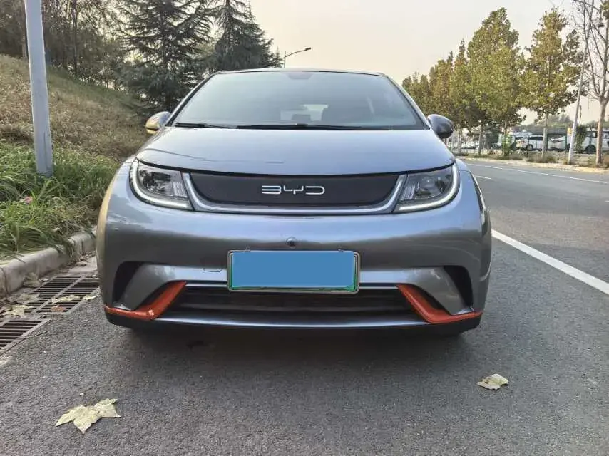 2021 BYD DOLPHIN thumbnail 2