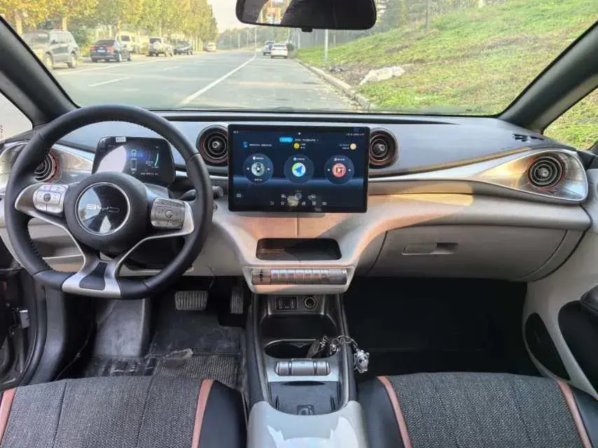 2021 BYD DOLPHIN thumbnail 4