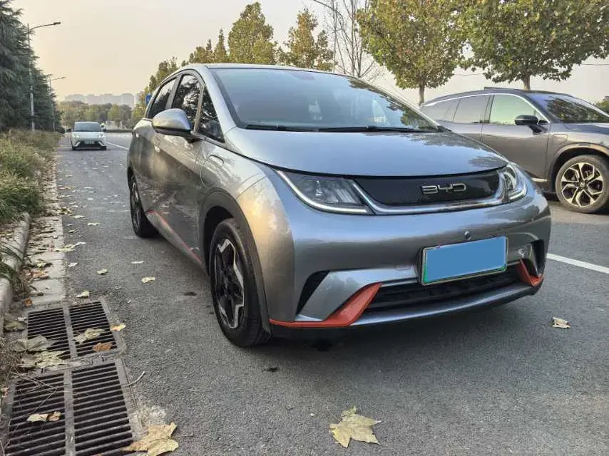 2021 BYD DOLPHIN thumbnail 3