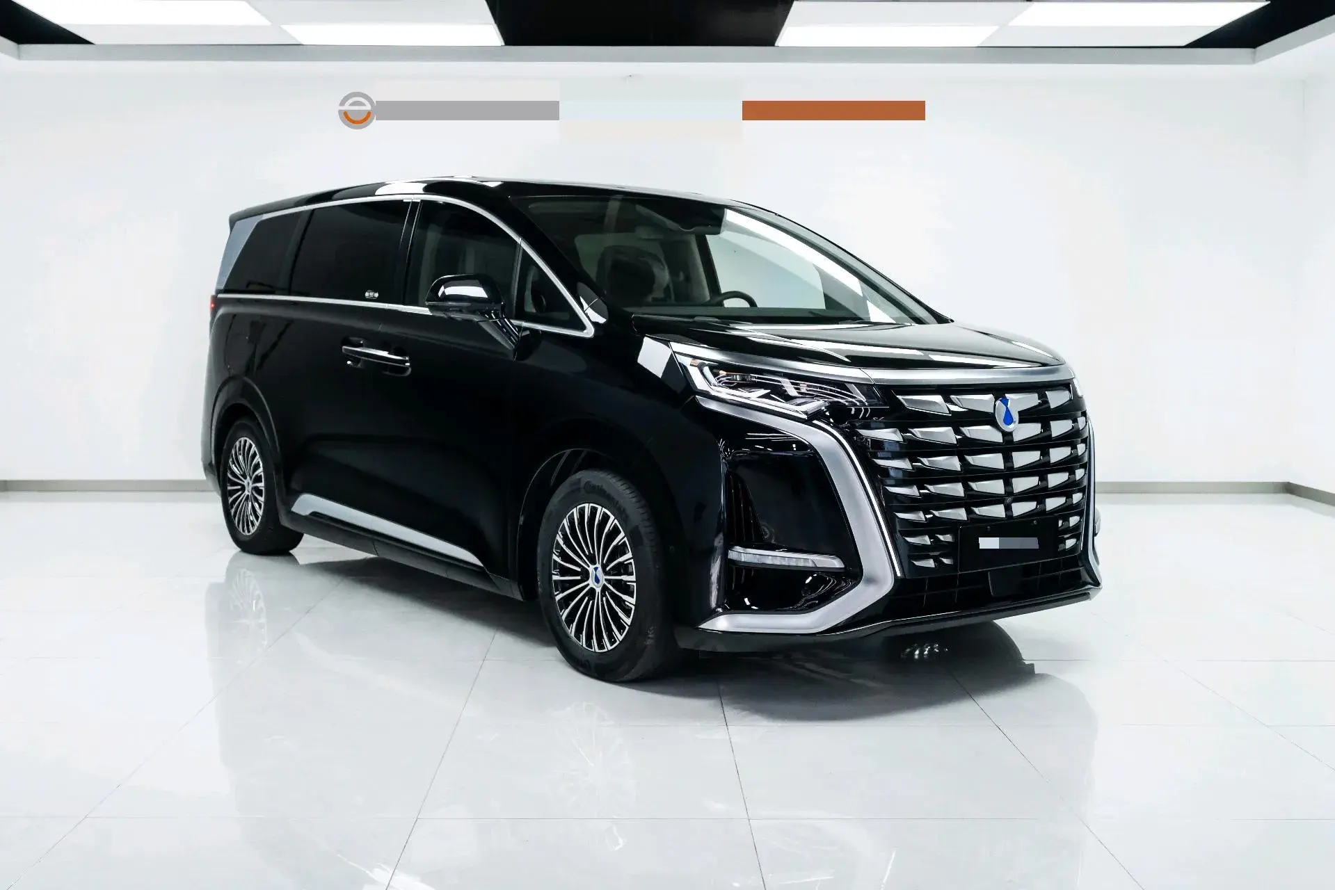 2022 DENZA D9 thumbnail 3