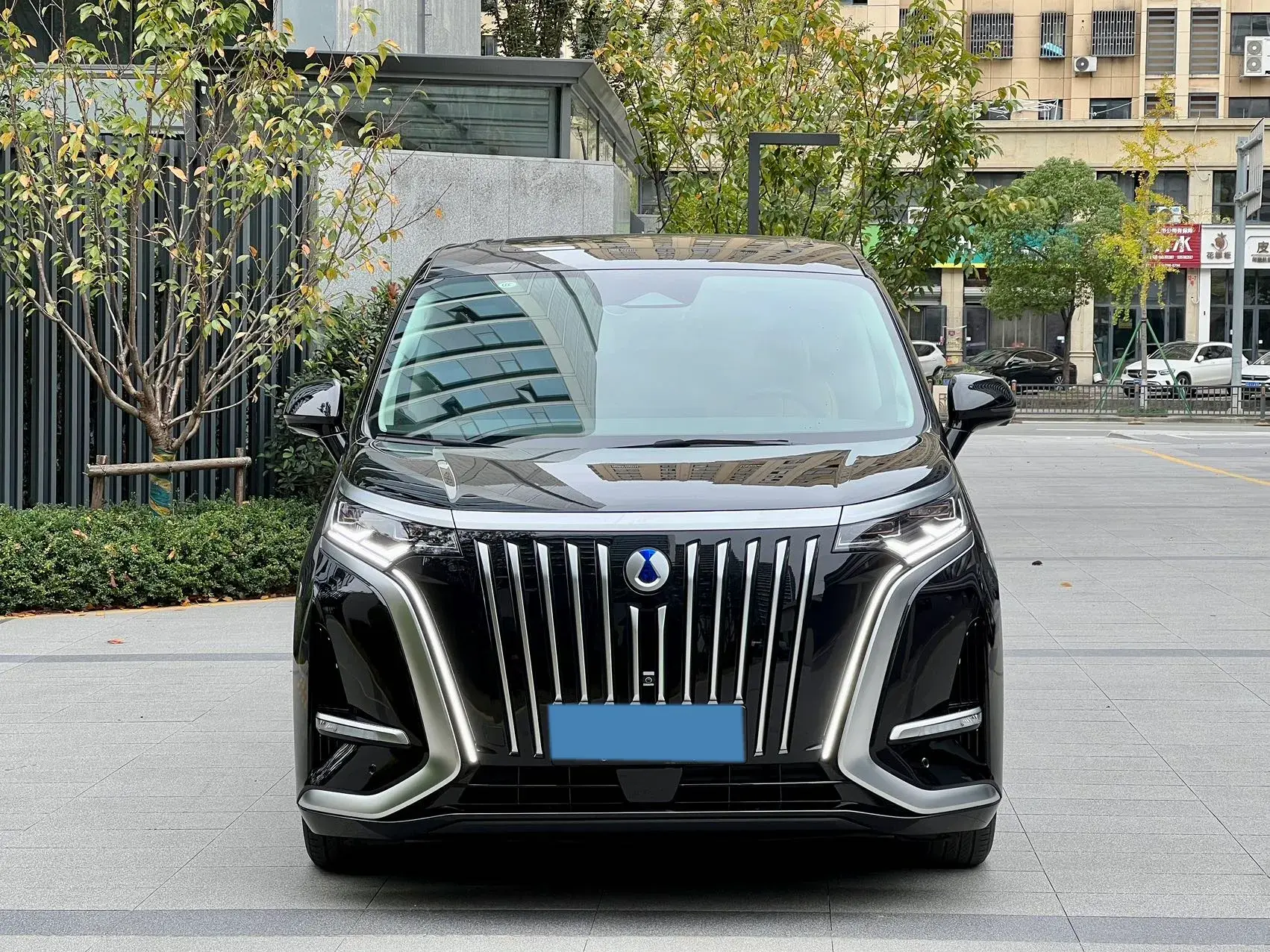 2024 DENZA D9 thumbnail 2