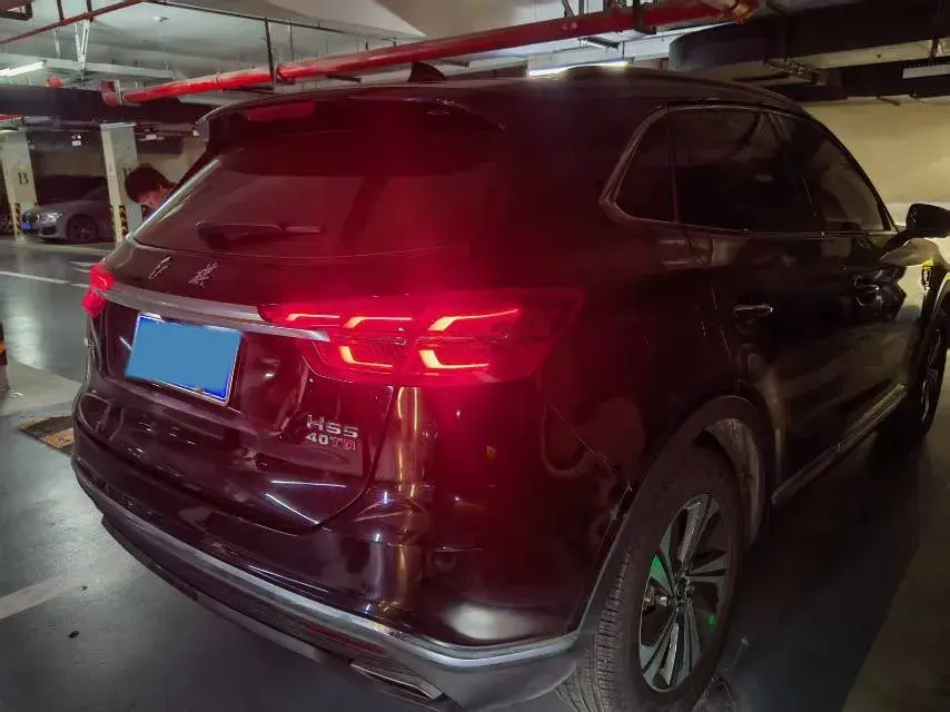 2019 HONGQI HS5 thumbnail 4