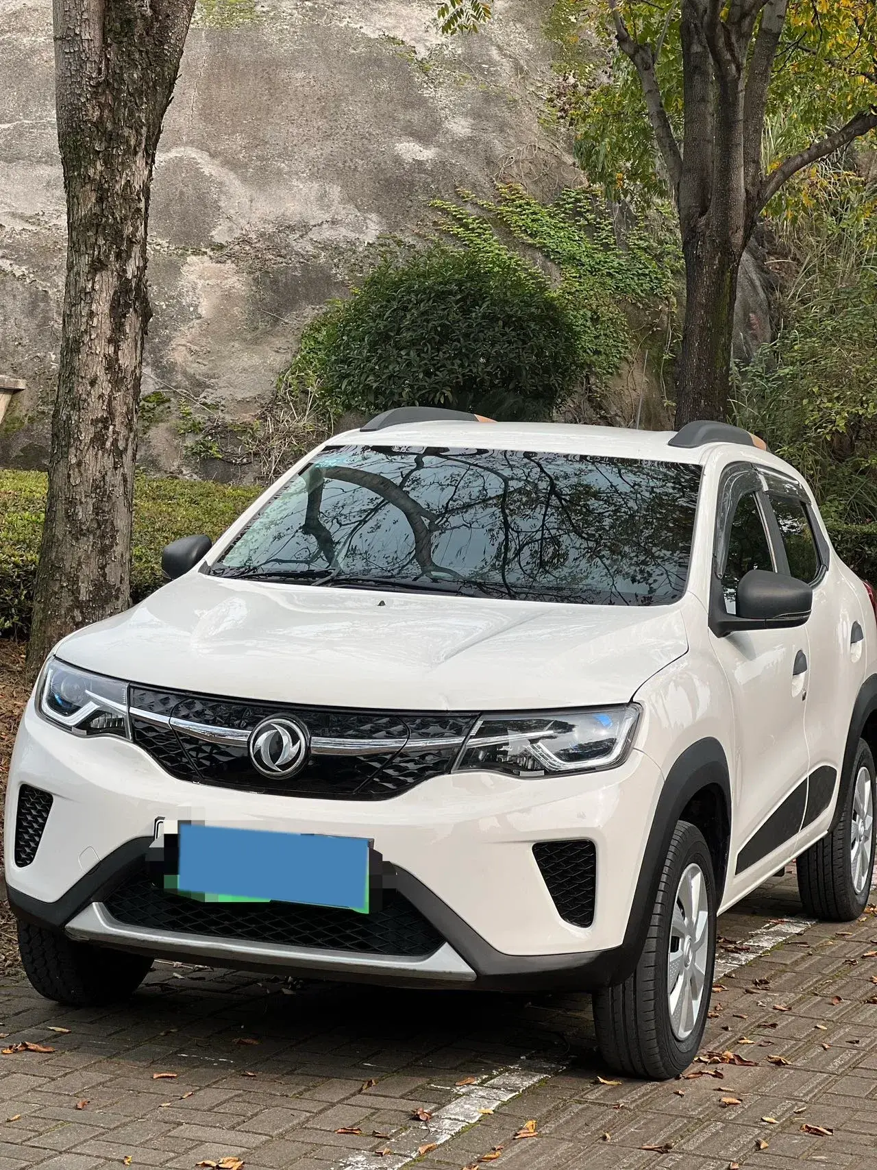 2022 DONGFENG NAMMI view 1