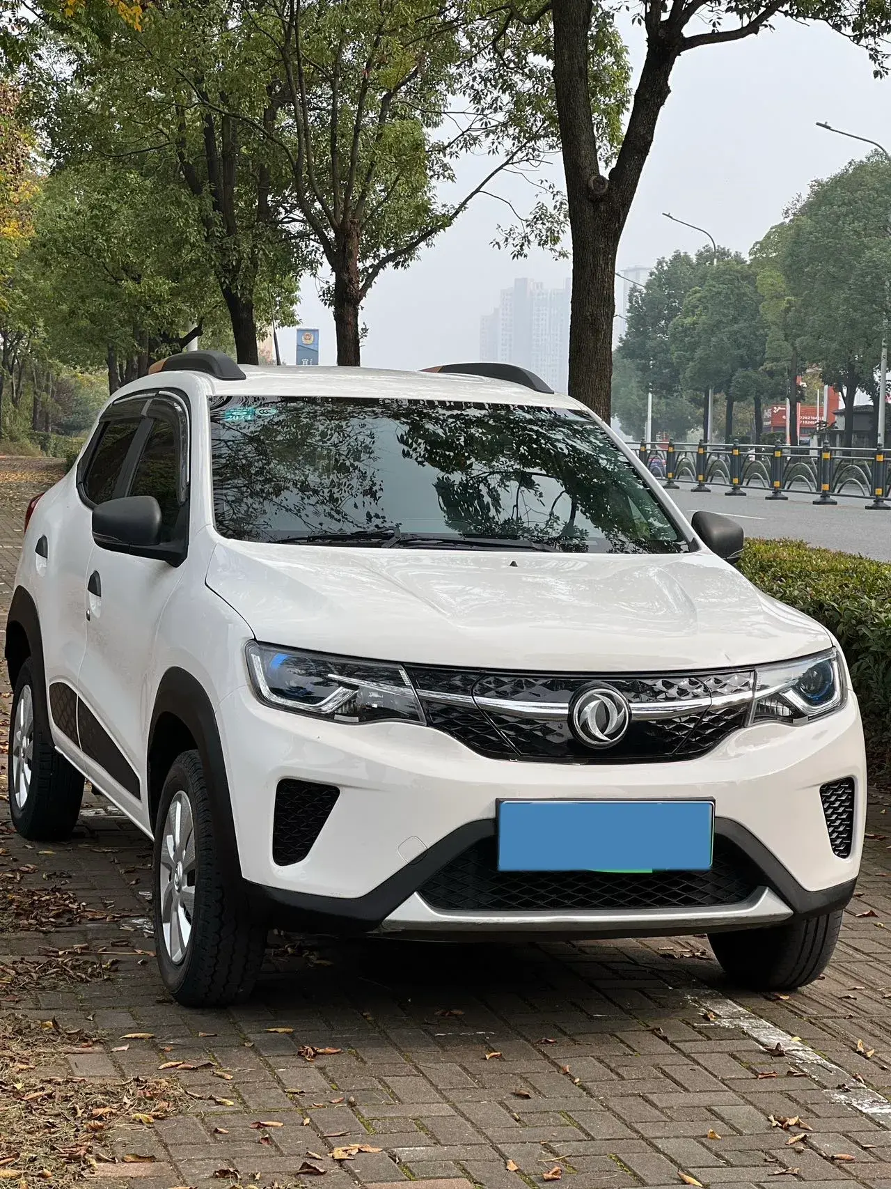 2022 DONGFENG NAMMI thumbnail 2
