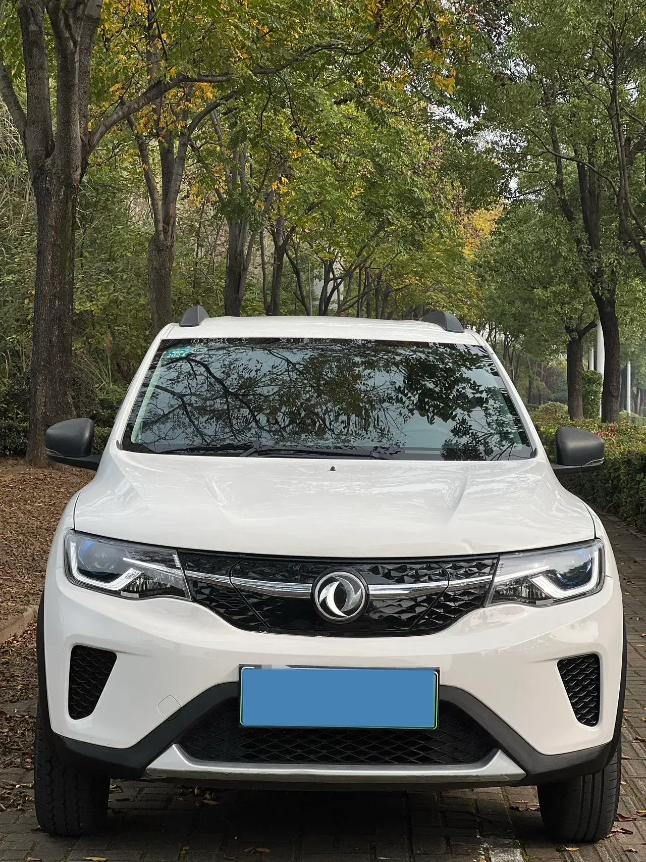 2022 DONGFENG NAMMI thumbnail 3