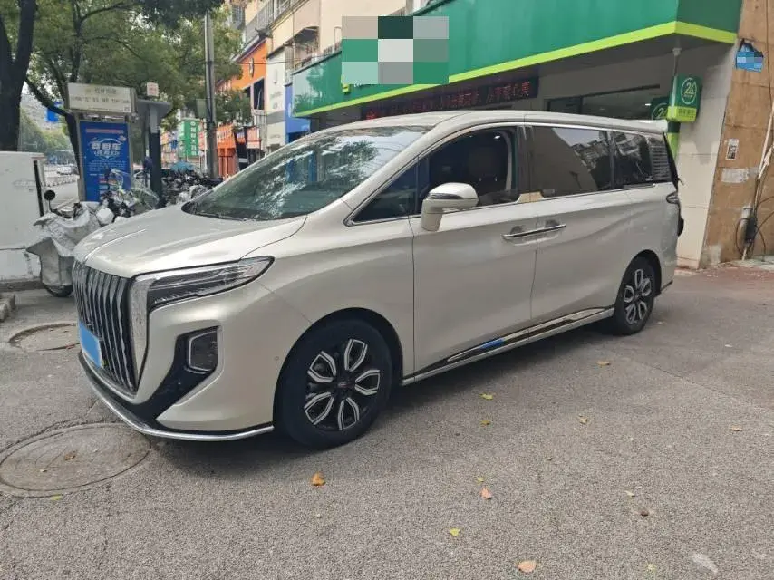 2023 HONGQI HQ9 view 1