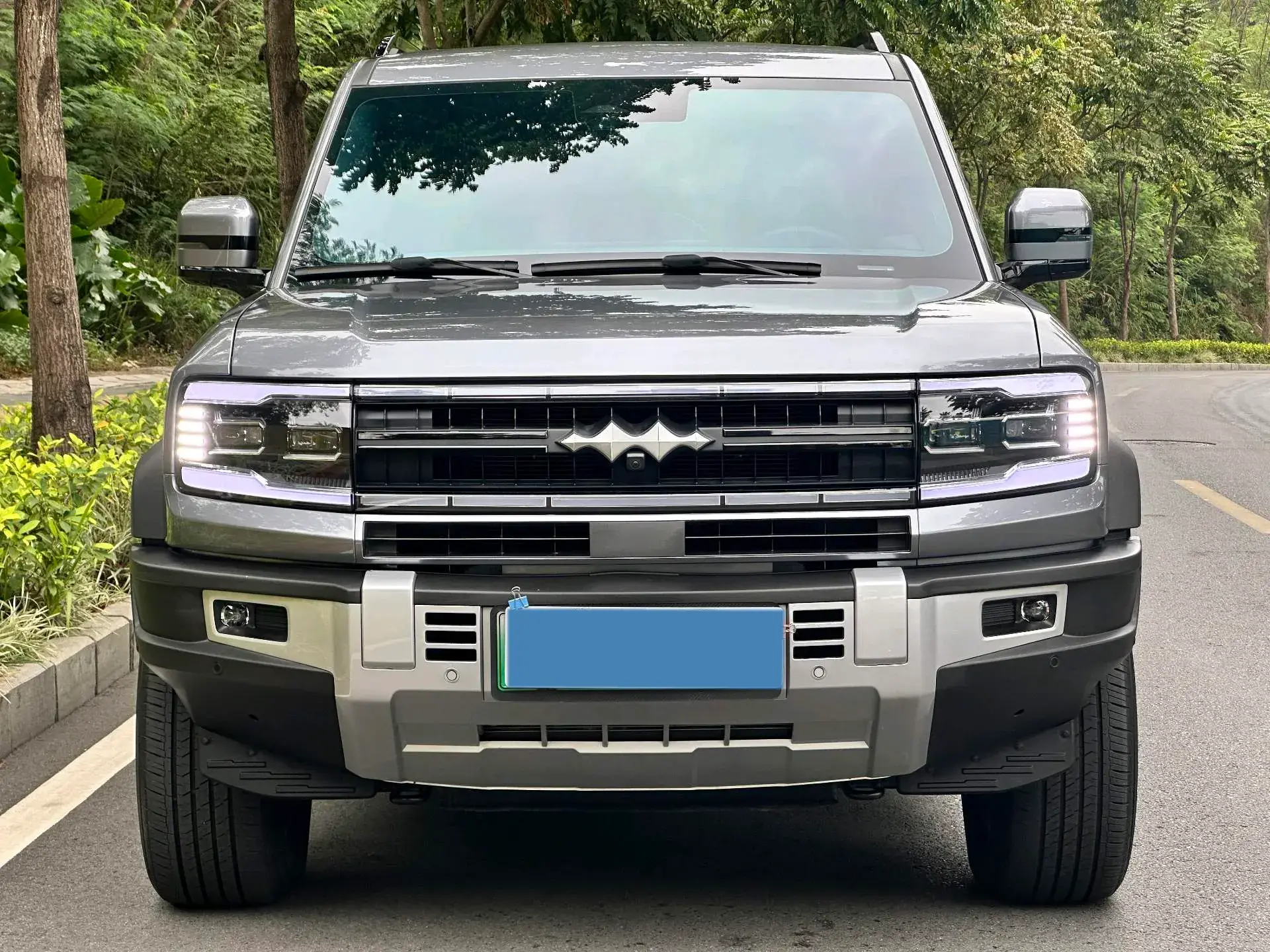 2023 FANGCHENGBAO BAO thumbnail 2