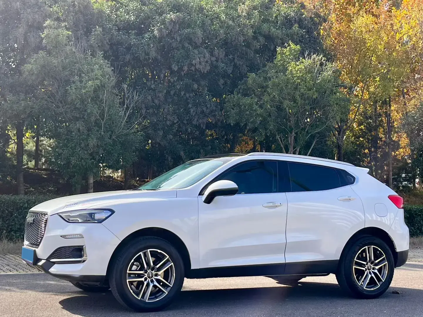 2020 HAVAL F5 view 1