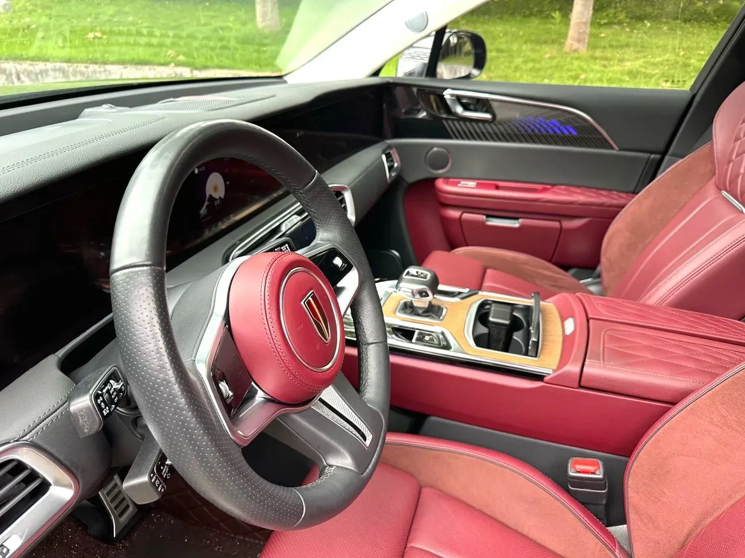 2021 HONGQI E-HS9 thumbnail 4