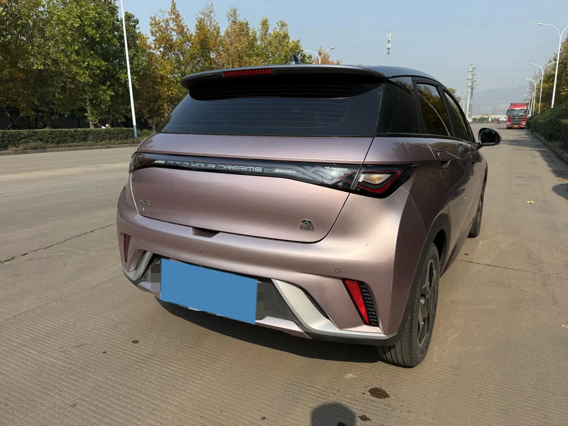 2021 BYD DOLPHIN thumbnail 3