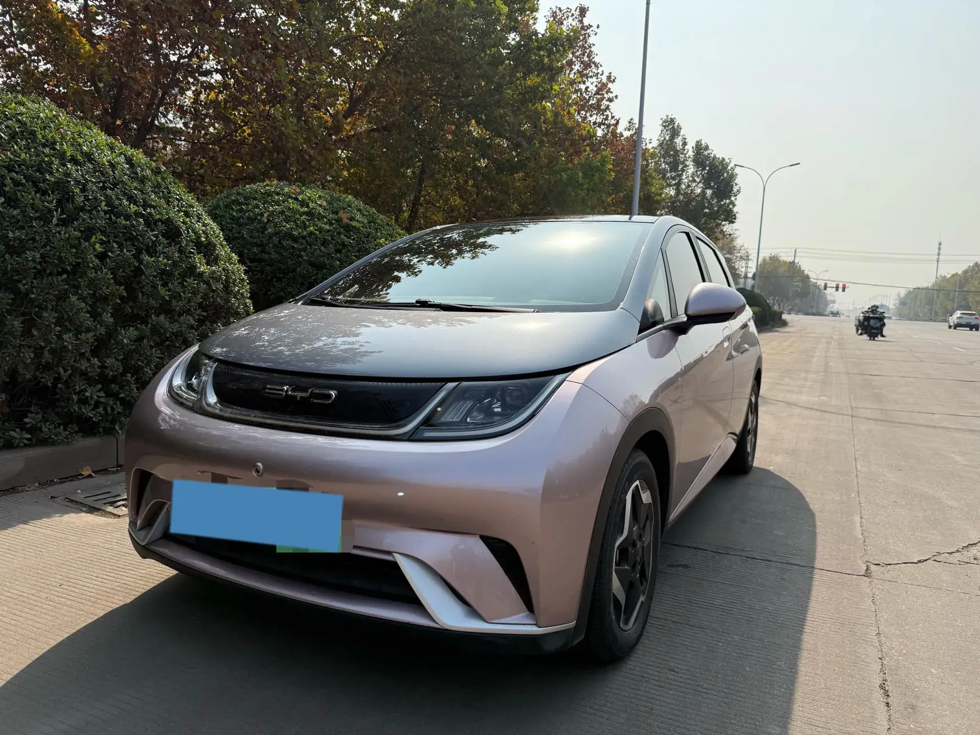 2021 BYD DOLPHIN view 1