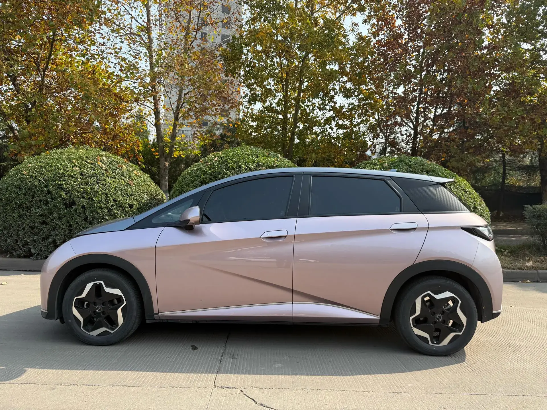 2021 BYD DOLPHIN thumbnail 2