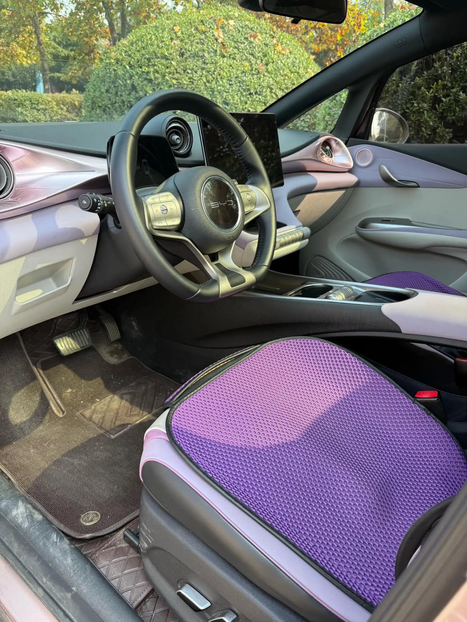 2021 BYD DOLPHIN thumbnail 4