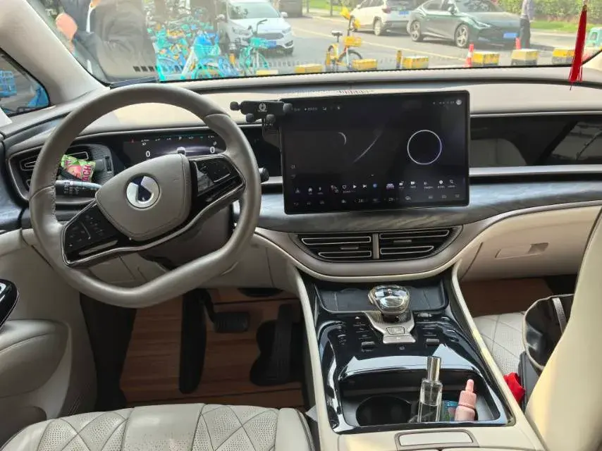 2022 DENZA D9 thumbnail 4