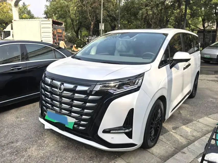 2022 DENZA D9 view 1