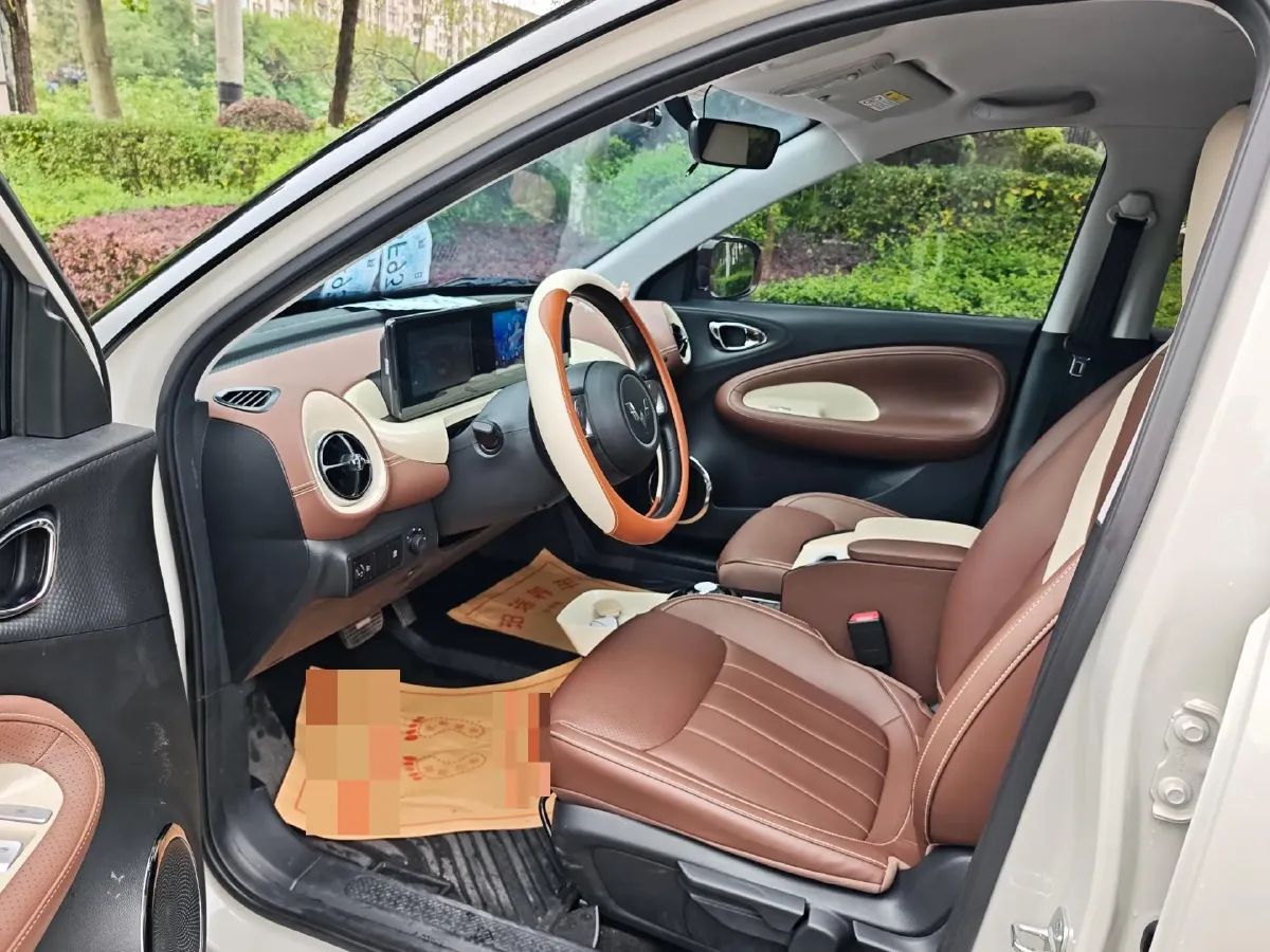 2025 WuLing BinGuo BEV,autocango,china used car exporter,china ev exporter,chinese used car exporter,chinese used ev exporter