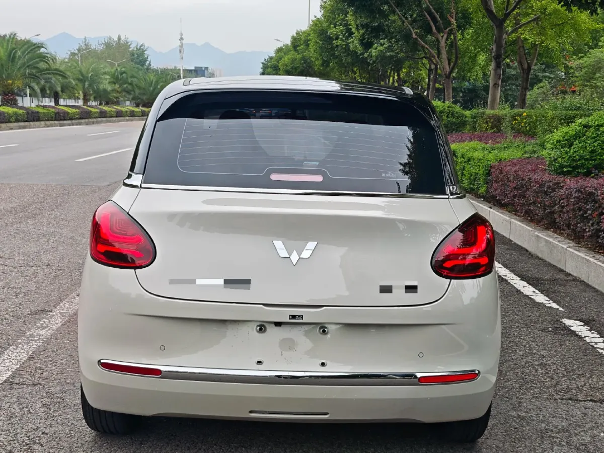 2025 WuLing BinGuo BEV,autocango,china used car exporter,china ev exporter,chinese used car exporter,chinese used ev exporter