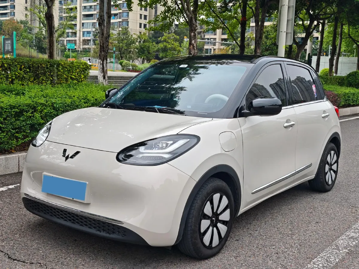 2025 WuLing BinGuo BEV,autocango,china used car exporter,china ev exporter,chinese used car exporter,chinese used ev exporter