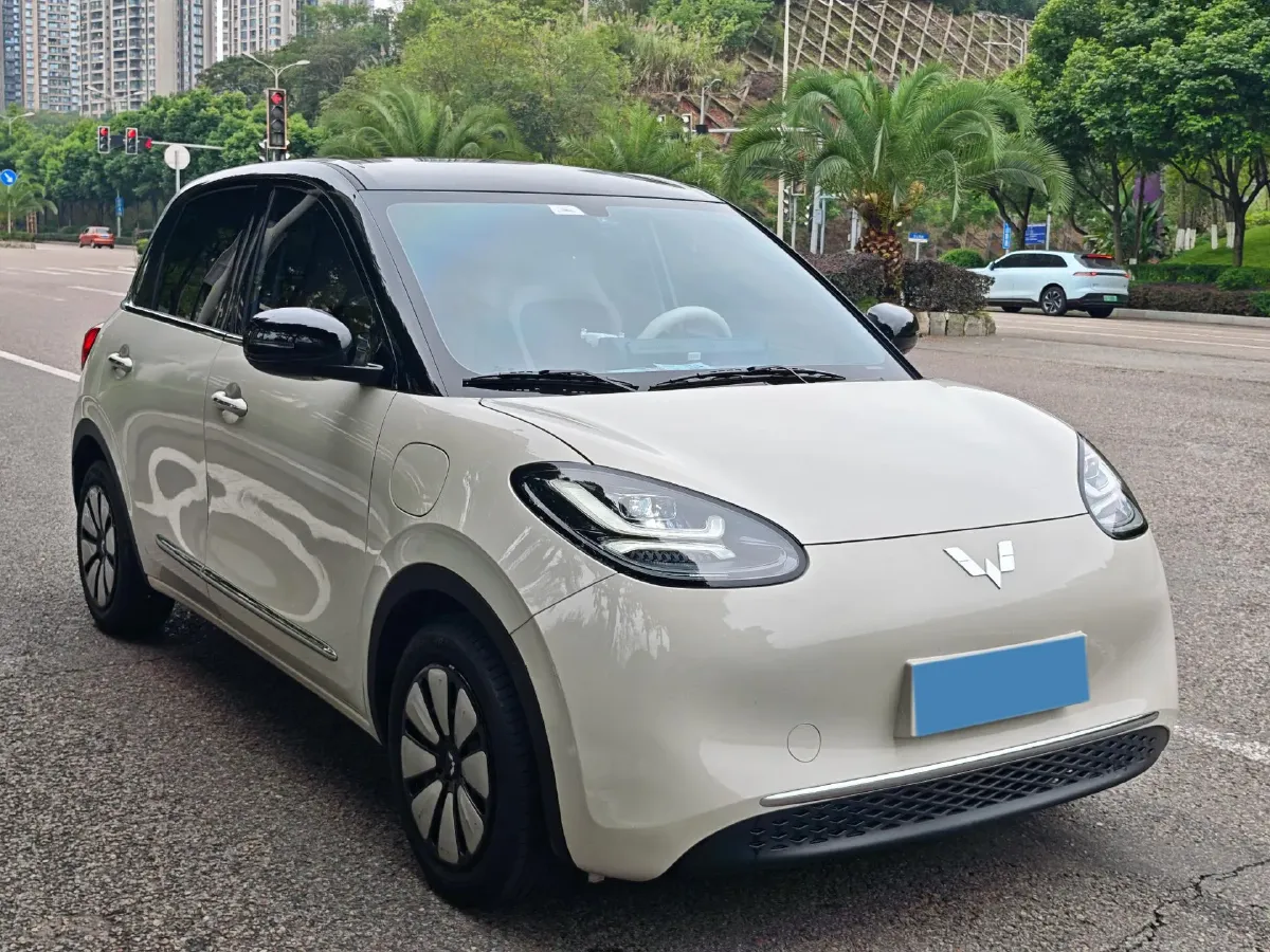 2025 WuLing BinGuo BEV,autocango,china used car exporter,china ev exporter,chinese used car exporter,chinese used ev exporter