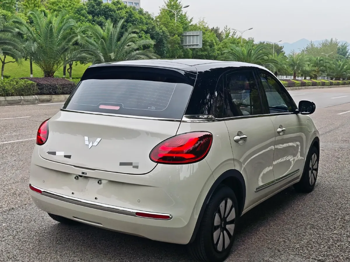 2025 WuLing BinGuo BEV,autocango,china used car exporter,china ev exporter,chinese used car exporter,chinese used ev exporter