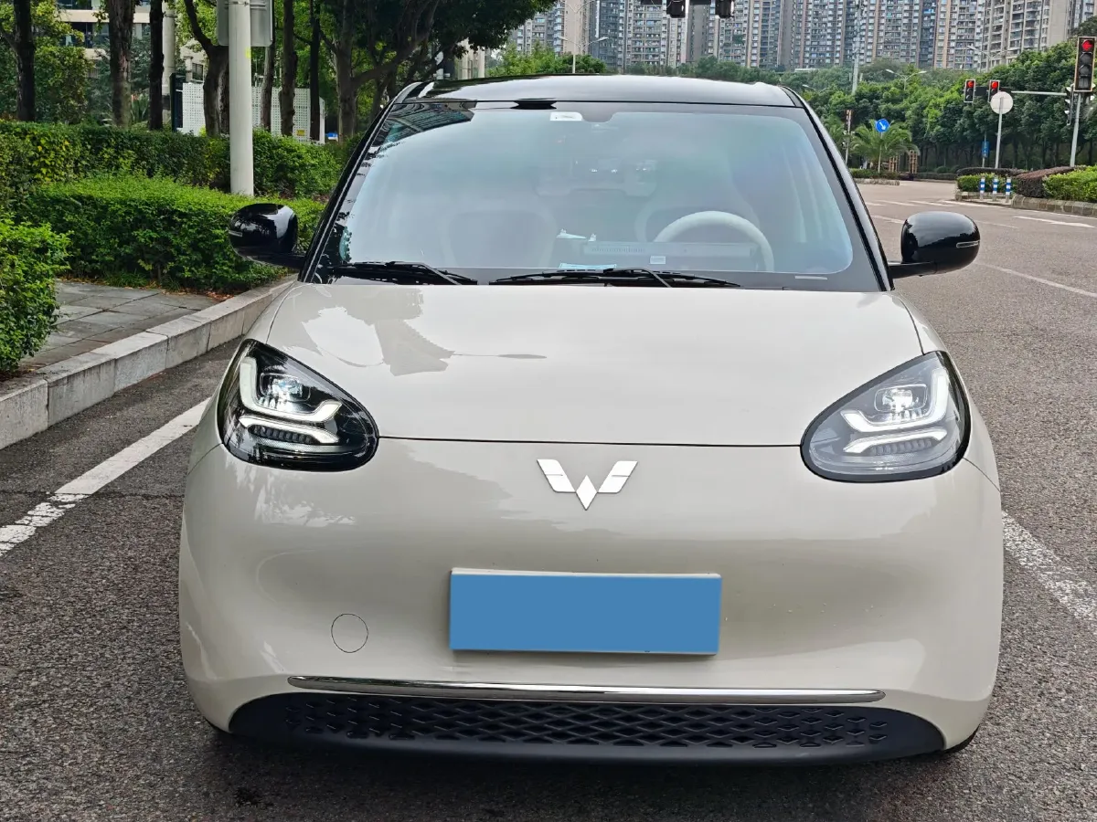 2025 WuLing BinGuo BEV,autocango,china used car exporter,china ev exporter,chinese used car exporter,chinese used ev exporter