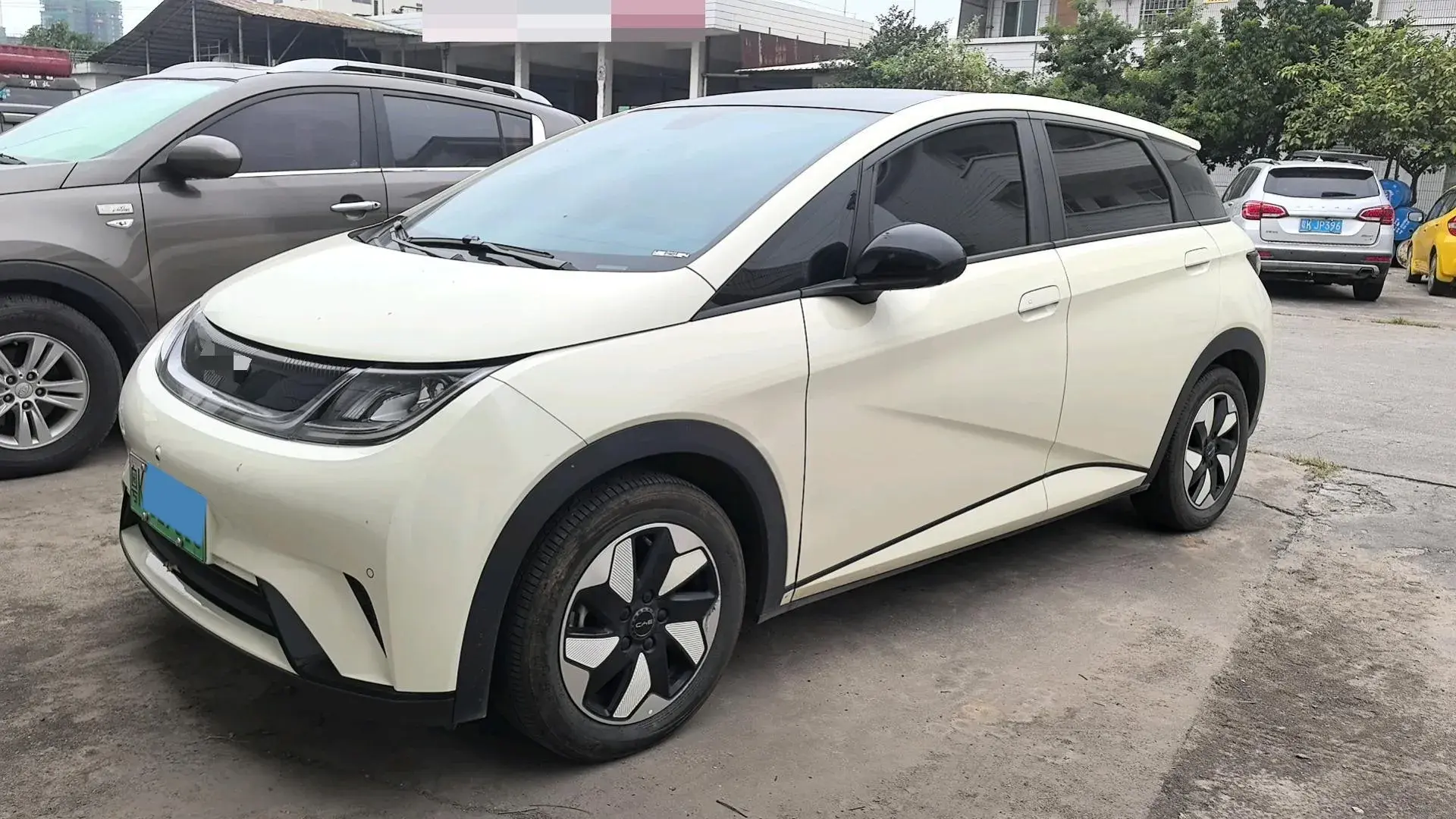 2024 BYD DOLPHIN view 1