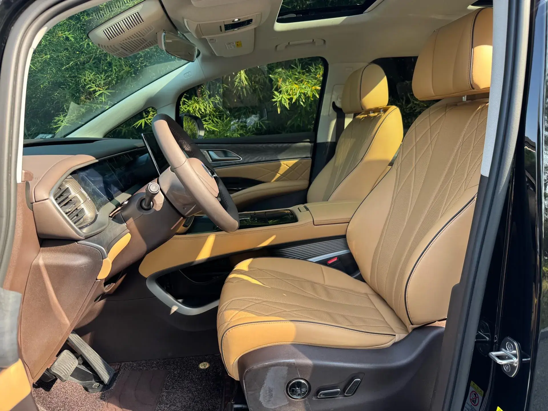 2024 DENZA D9 thumbnail 4