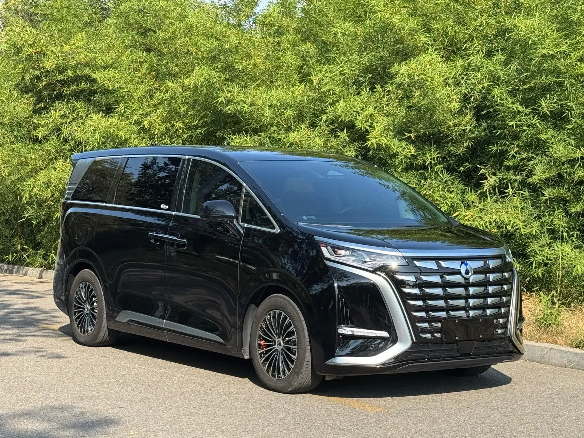 2024 DENZA D9 thumbnail 3