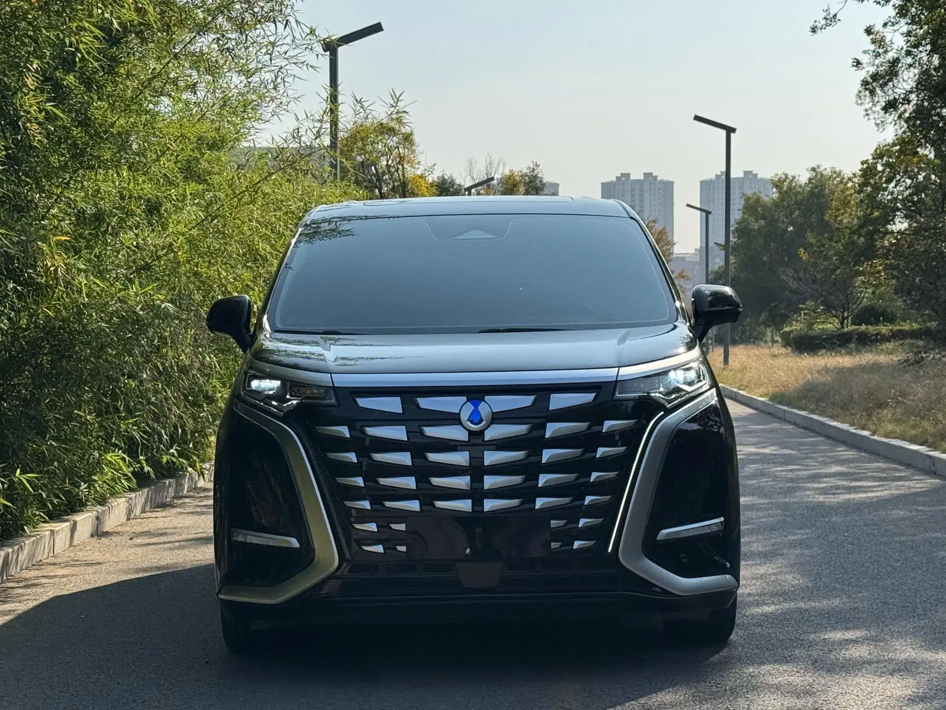 2024 DENZA D9 thumbnail 2