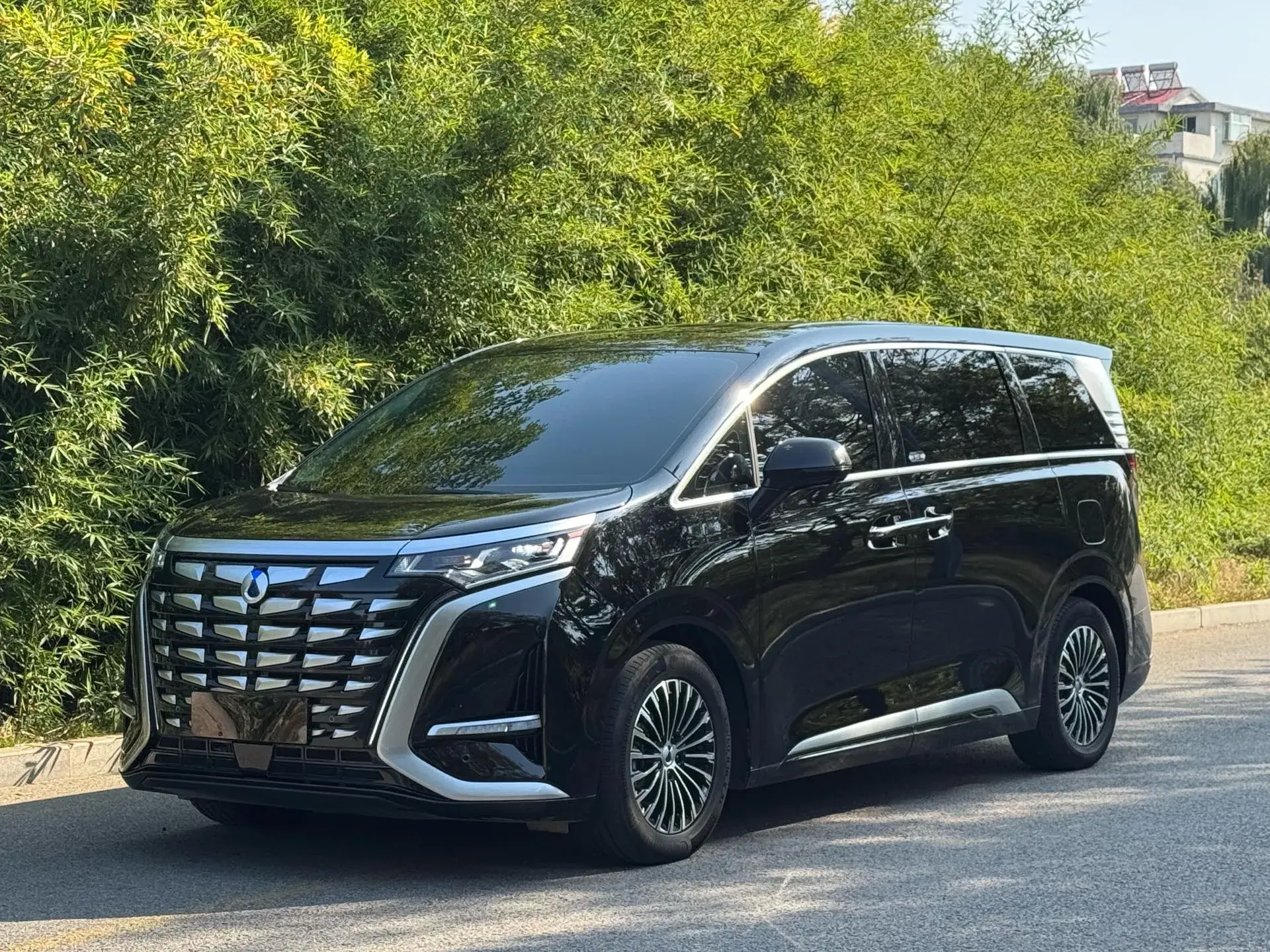 2024 DENZA D9 view 1