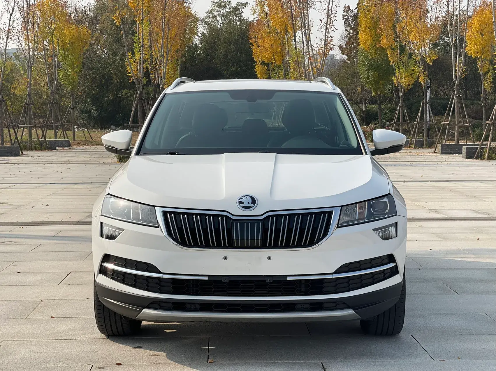 2021 SKODA KAROQ thumbnail 2