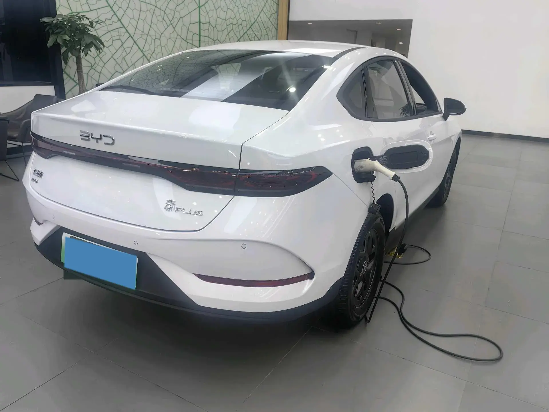 2025 BYD QIN thumbnail 4