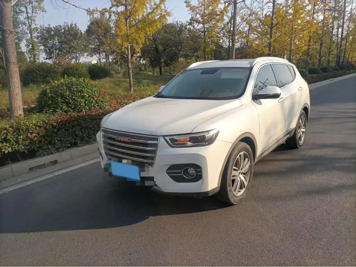 2017 HAVAL H6 view 1