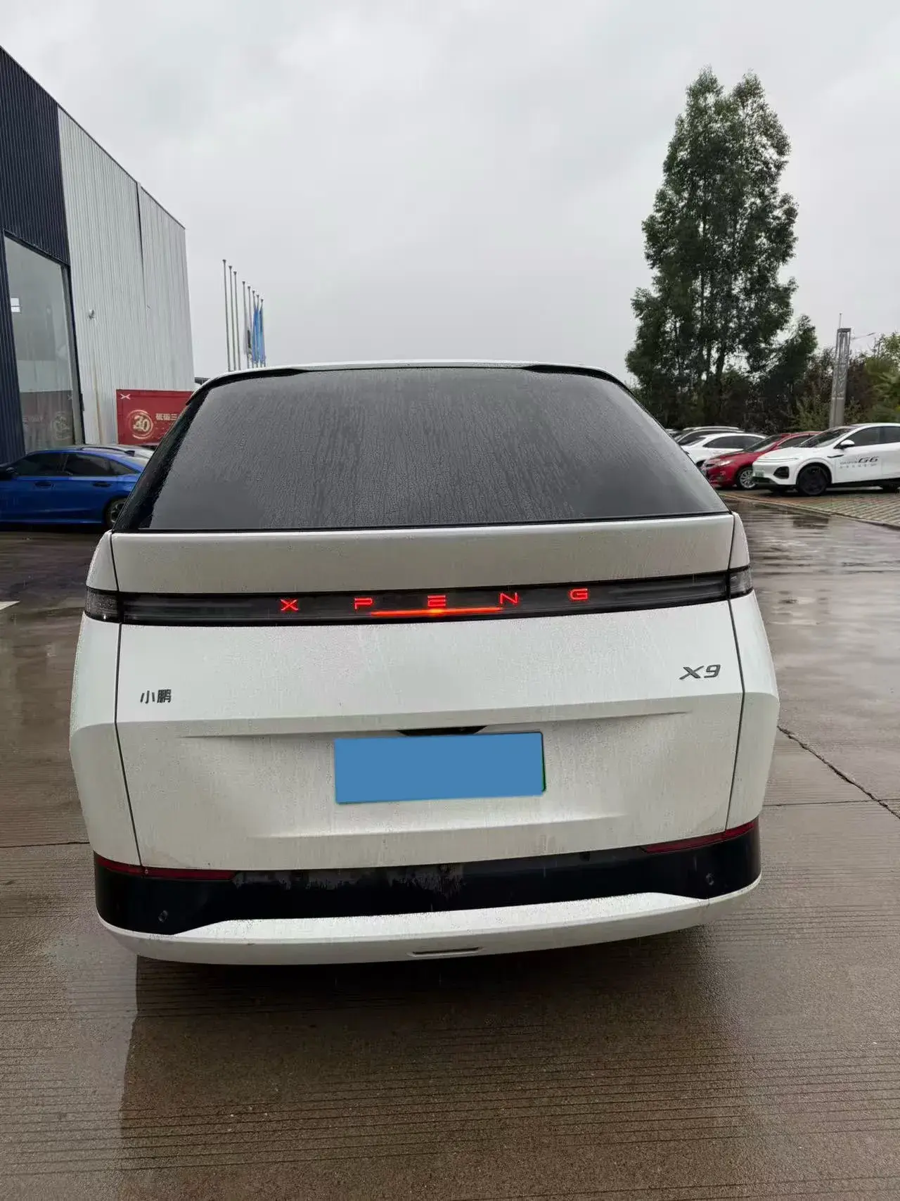 2025 XPENG X9 thumbnail 3