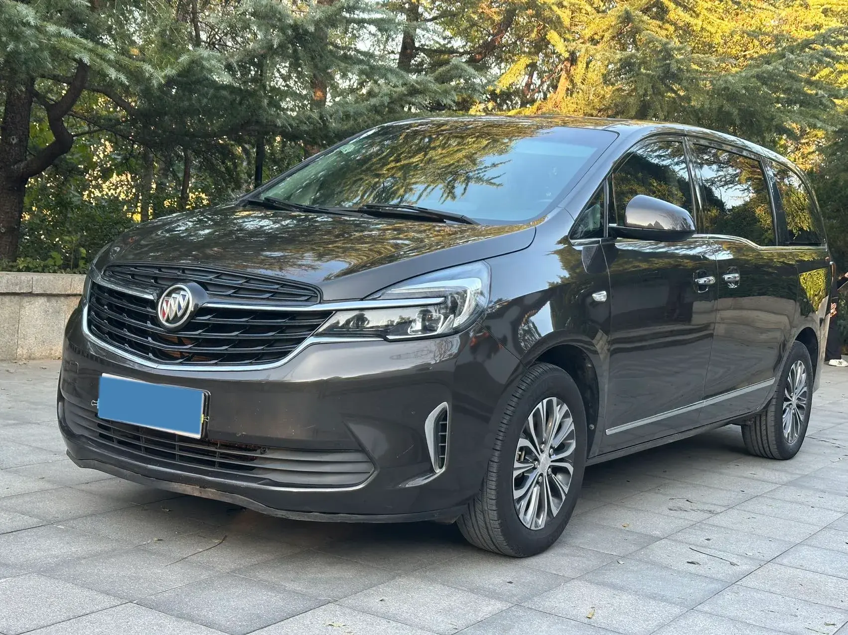 2021 BUICK GL8 view 1